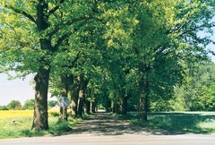 Killikus&reg; Fotographie